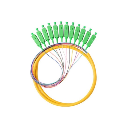 12芯束装尾纤SC/APC